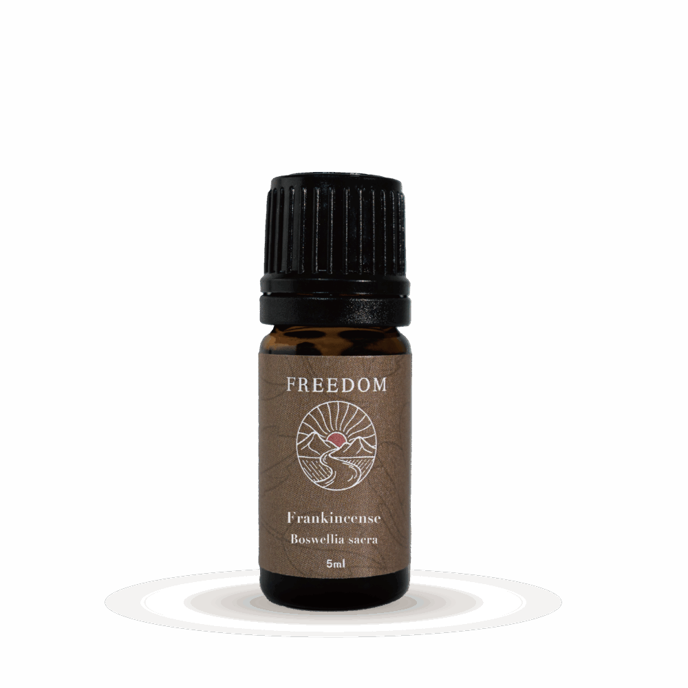 『預購』阿曼乳香Frankincense/Boswellia sacra