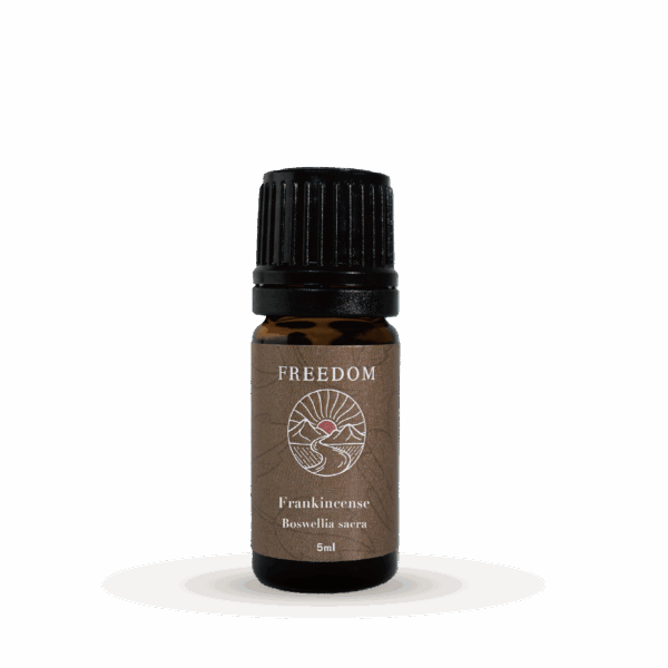 『預購』阿曼乳香Frankincense/Boswellia sacra